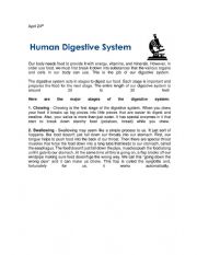 English Worksheet: Digestive system