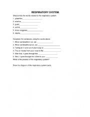 English Worksheet: CIRCULATORY SYSTEM