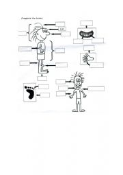 English Worksheet: human body