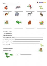 ANIMALS grade 2