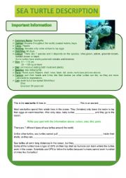 English Worksheet: Sea turtle description