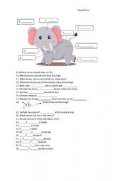 Animal Worksheet - ESL worksheet by Roselyn Smith