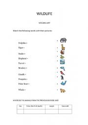 English Worksheet: Wildlife Bonus Exercise