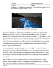 English worksheet: Bioluminescence 