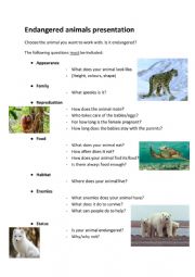 English Worksheet: Presentation about an endangered animal