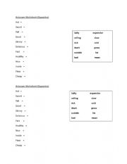English Worksheet: Antonyms 