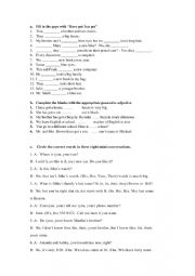 English Worksheet: have/has got & possessive adjectives worksheet