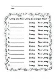 English Worksheet: living things