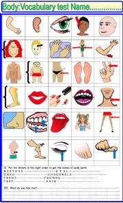 Body part vocabulary test or activity