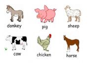 English Worksheet: Animals 