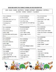 English Worksheet: Reading about Animals 