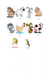 English Worksheet: ANIMALS
