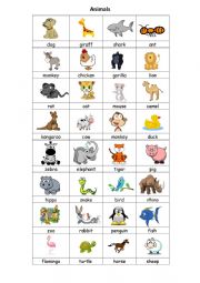 Common Animals Chart