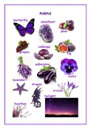 English Worksheet: What is PURPLE, BLACK-AND-WHITE, GREY