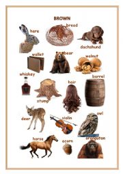 English Worksheet: What is BROWN, PINK, TRANSLUCENT