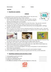 English Worksheet: FUN FACTS!!