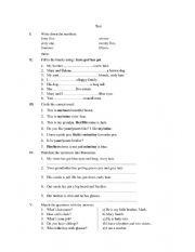 English Worksheet: TEST