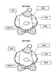English Worksheet: MY FACE