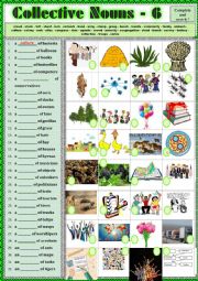 English Worksheet: COLLECTIVE NOUNS 6  -  exercises  + KEY