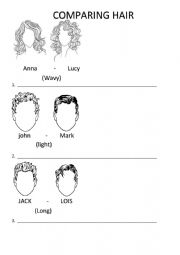 COMPARING TYPES OF HAIR