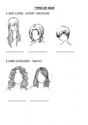 English Worksheet: TYPES OF HAIR