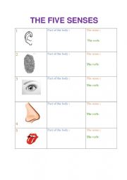 English Worksheet: the five senses