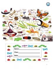 English Worksheet: Bugs - Big Cat Collins Activity 