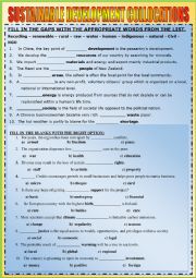 SUSTAINABLE DEVELOPMENT COLLOCATIONS