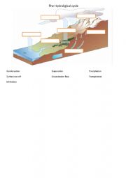English Worksheet: The Hydrological cycle