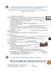 English Worksheet: Present Pefefct