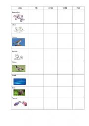 English Worksheet: what can birds do