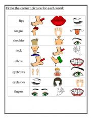 body parts worksheet