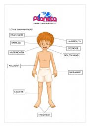 Body Parts - Vocabulary for Kids