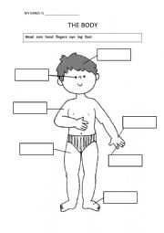 English Worksheet: body parts for teens