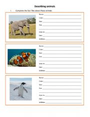 English Worksheet: Describing animals 