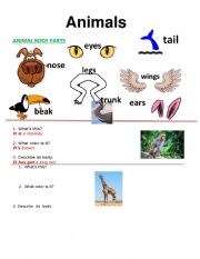 English Worksheet: animals  and body characteristics 