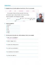 English Worksheet: Adjectives