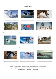 Extreme Sports worksheet