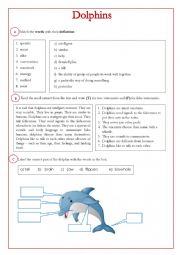 English Worksheet: Describing Dolphin