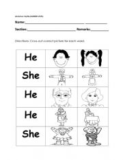 English Worksheet: Worksheet