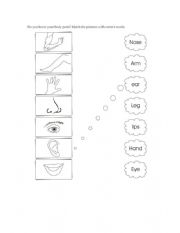 English Worksheet: body parts