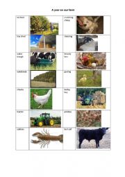 English Worksheet: Farm Spelling