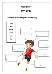 English Worksheet: My Body