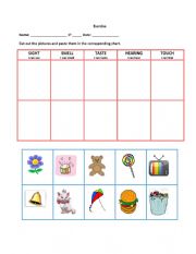 English Worksheet: Five Senses Activity