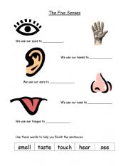 English Worksheet: The five senses