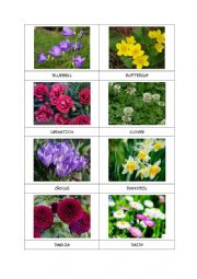 English Worksheet: FLOWERS flashcards (part 1)