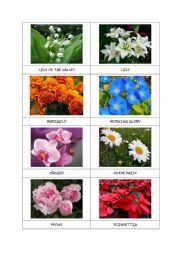 English Worksheet: FLOWERS flashcards (part 2)