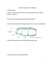 English Worksheet: Review Plants