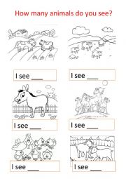 English Worksheet: Animal farms