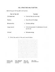 English Worksheet: CELL STRUCTURE AND FUNCTION